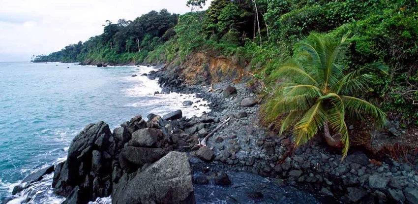 Sostenibilidad Impulsa el Gran Cambio Ambiental en Colombia.