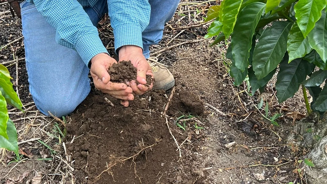 Syngenta Lanza su Nueva Estrategia. Syngenta Lanza su Nueva Estrategia.