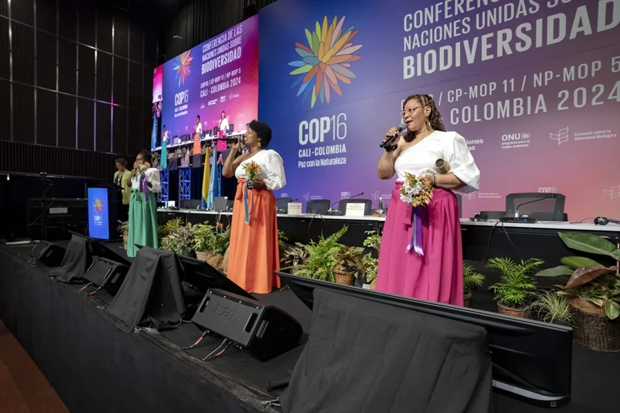 En la COP16 Defensoras del Planeta.
