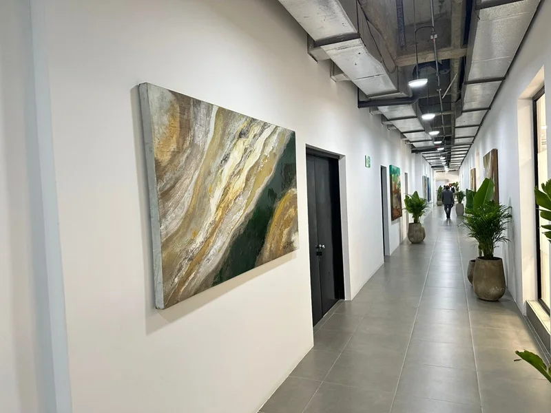 COP16: Arte y Sostenibilidad en Cali. COP16: Arte y Sostenibilidad en Cali.