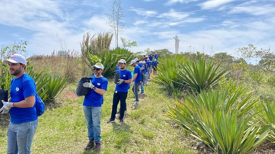 Reforestación en Cristo Rey: Un Renacer Reforestación en Cristo Rey: Un Renacer