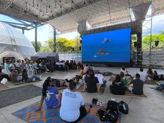Yawa Abre Sus Puertas en COP16.