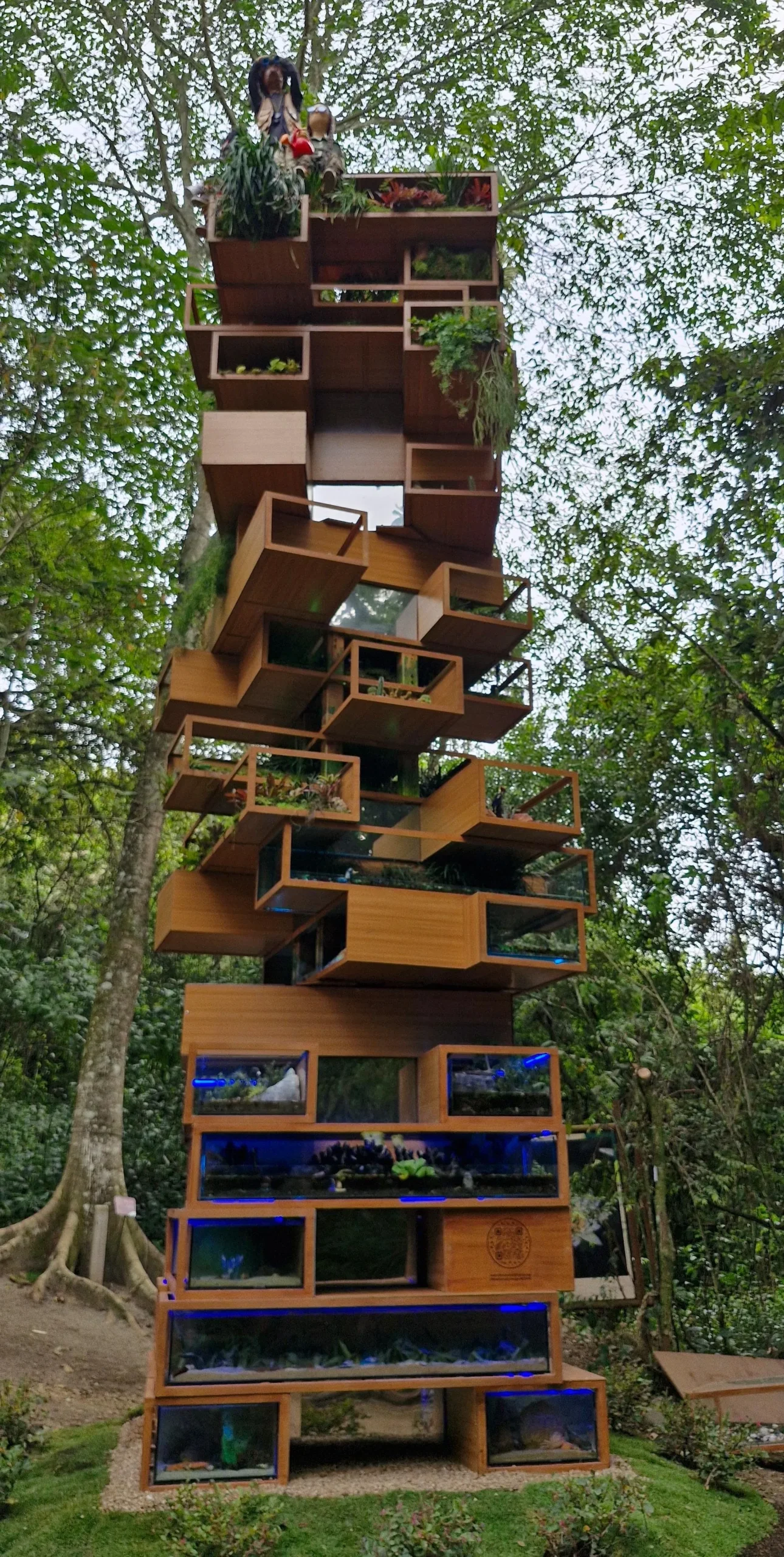 Biodiversity Jenga Llega al Jardín Botánico. Biodiversity Jenga Llega al Jardín Botánico.