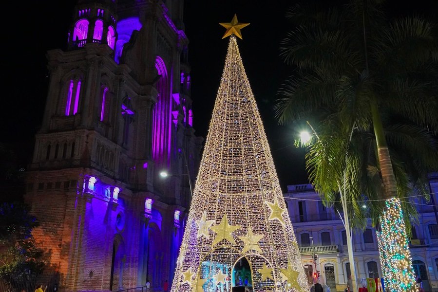 Encendido del Alumbrado Navideño en Palmira Encendido del Alumbrado Navideño en Palmira