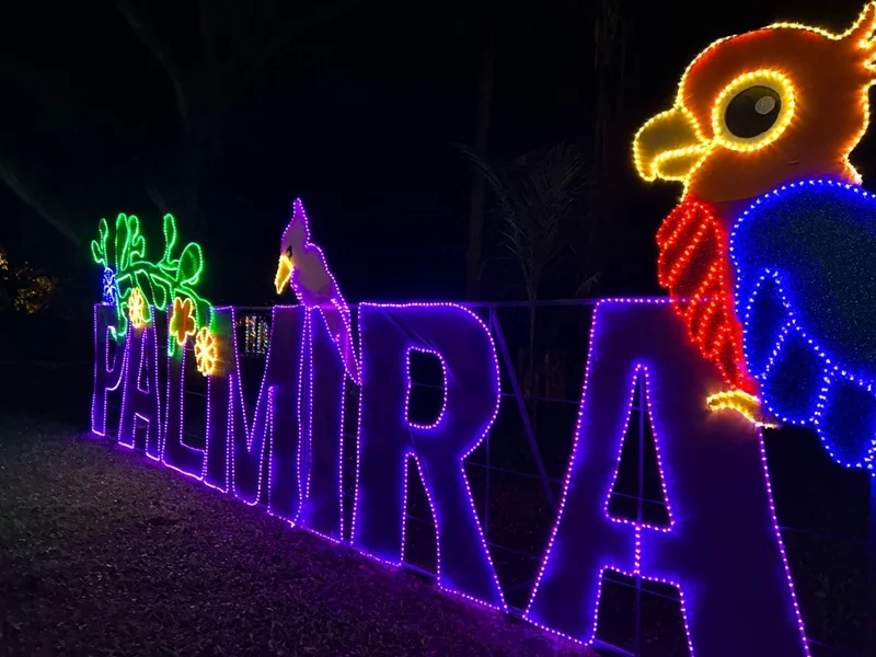 Navidad en Palmira: Bosque Iluminado. Navidad en Palmira: Bosque Iluminado.