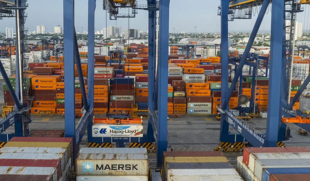 Zanahoria Rompe Récord de Exportación.