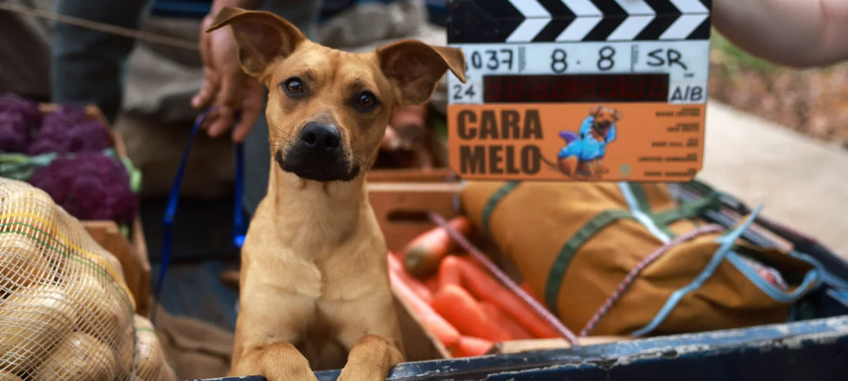 Caramelo Conquista Netflix.