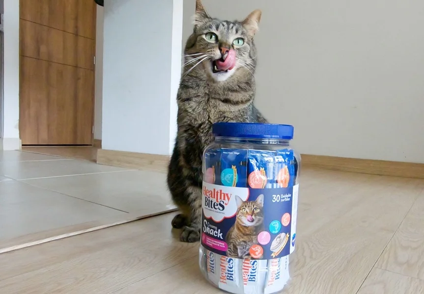 Alerta de Dulces Halloween la Peligrosa Trampa que Acecha a tu Mascota.