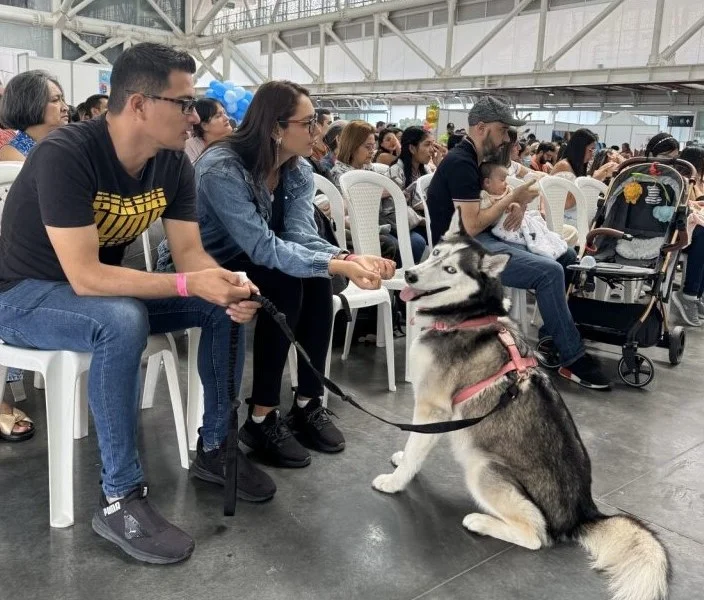 Mascotas Invaden Cali en un Festival Único que Celebra el Bienestar Animal. Mascotas Invaden Cali en un Festival Único que Celebra el Bienestar Animal.