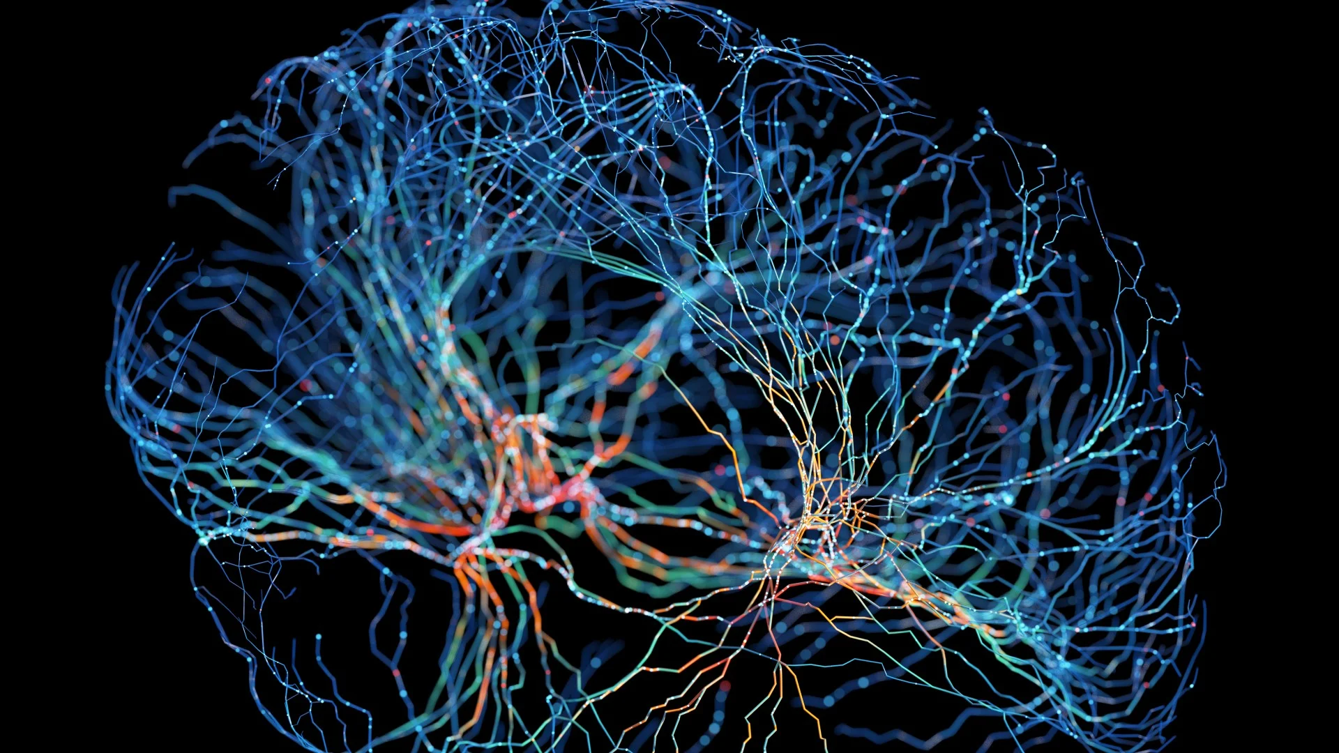 Bioluminiscencia Redefine la Forma de Estudiar el Cerebro Humano en Tiempo Real.