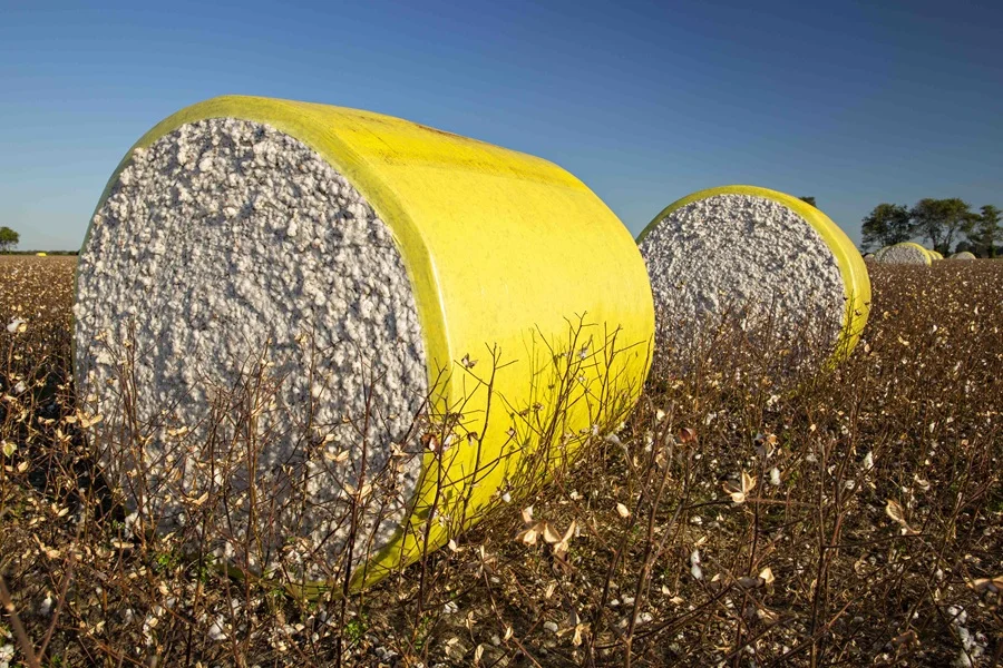 Colombiatex 2026 Algodón Como Motor del Nuevo Negocio Textil.