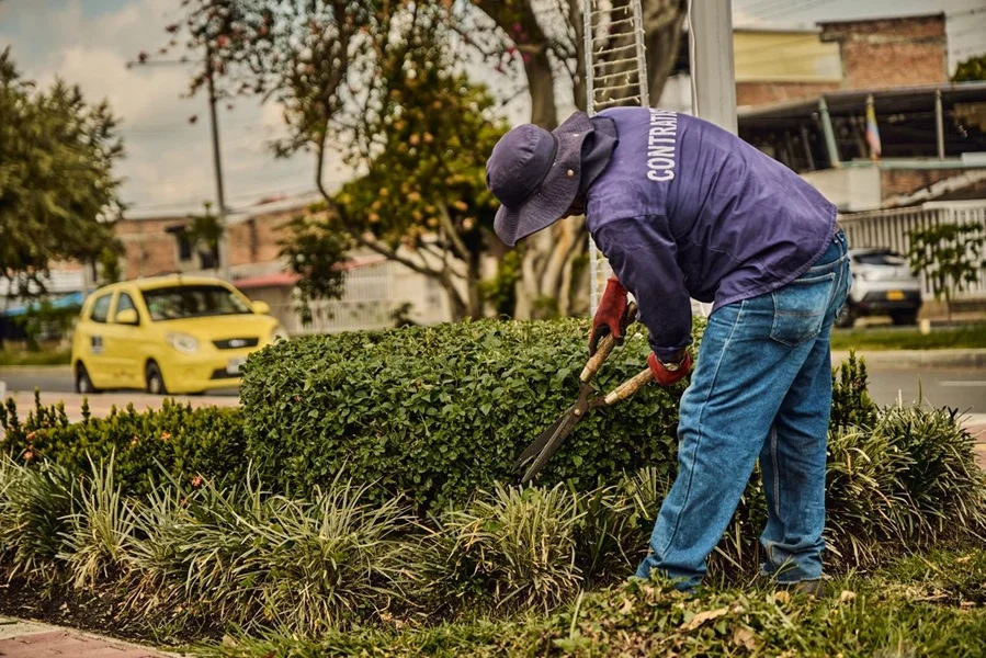 Carbonera Verde Urbana que Marca el Nuevo Ritmo Ambiental de Palmira.