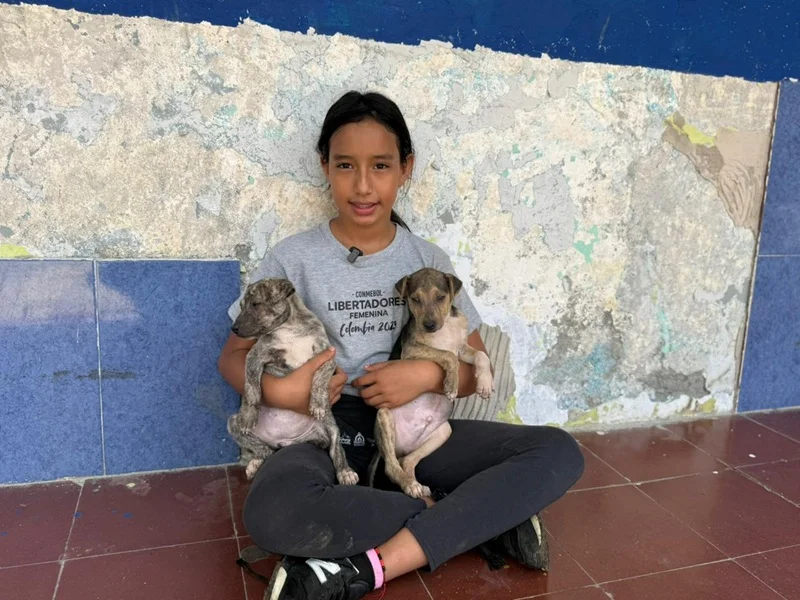 Esterilización Masiva Transforma la Vida de los Peluditos en Los Piles.