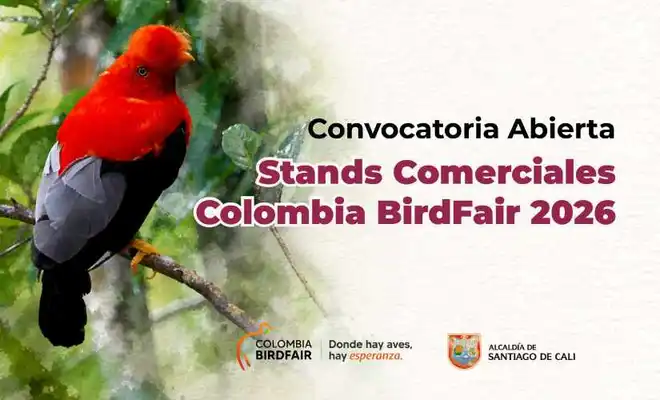 Colombia BirdFair Impulsa Negocios Verdes Y Pone A Cali En El Radar Global Del Aviturismo.