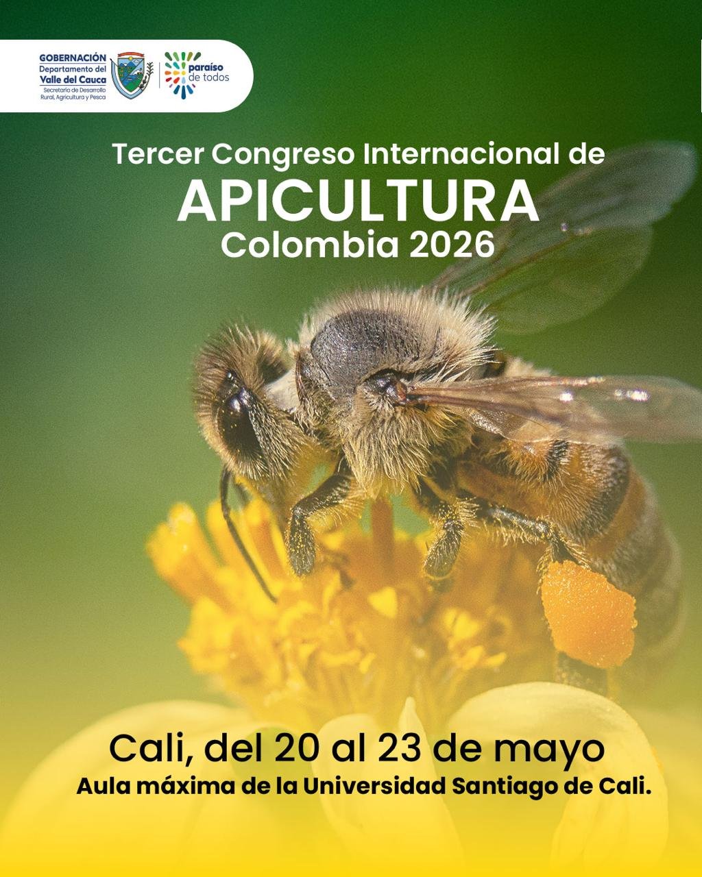 Apicultura Pone al Valle en los Ojos de Todo el Mundo Científico.