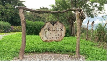 Abejas el Compromiso de Vélez.
