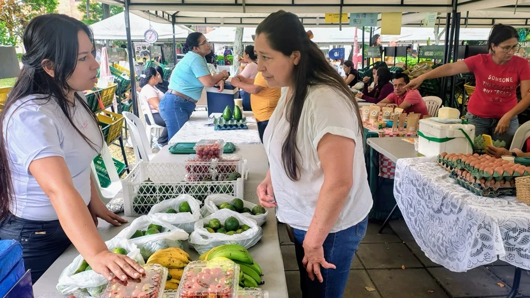 Feria Campesina Transforma Parque La Factoría de Palmira.
