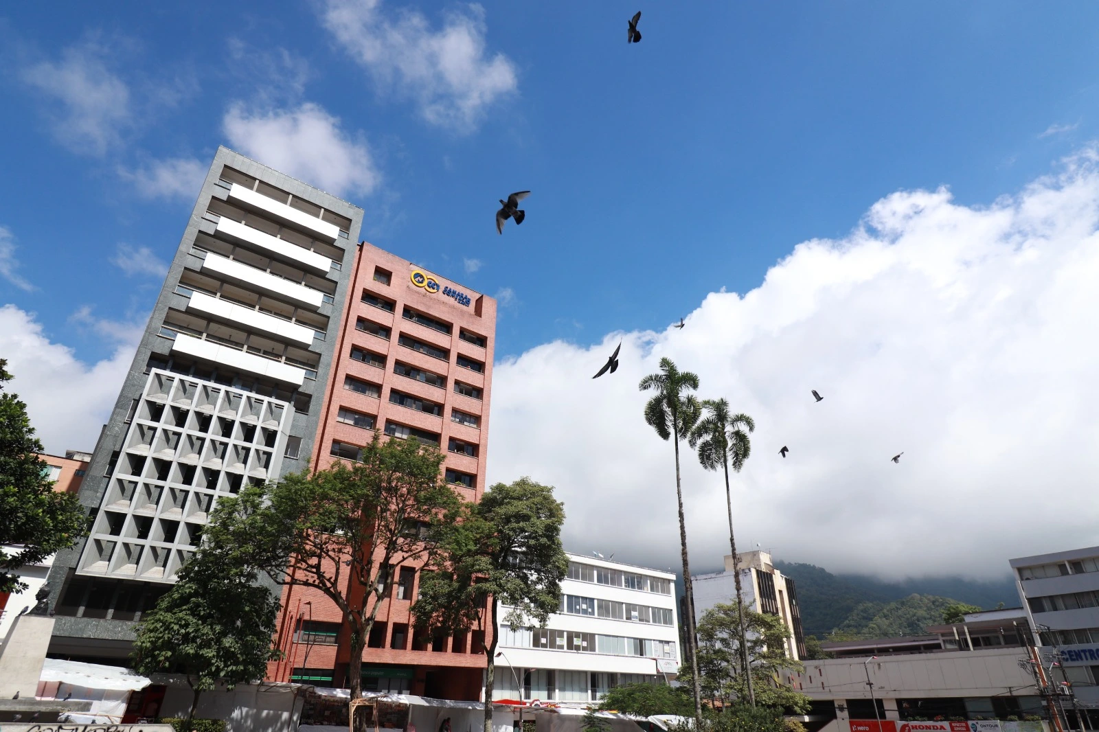 Cámara de Comercio de Ibagué Lidera la Revolución Total de los Jóvenes Empresarios.