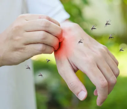Alerta por Dengue en Colombia: ¿Cómo Frenar el Avance del Brote?