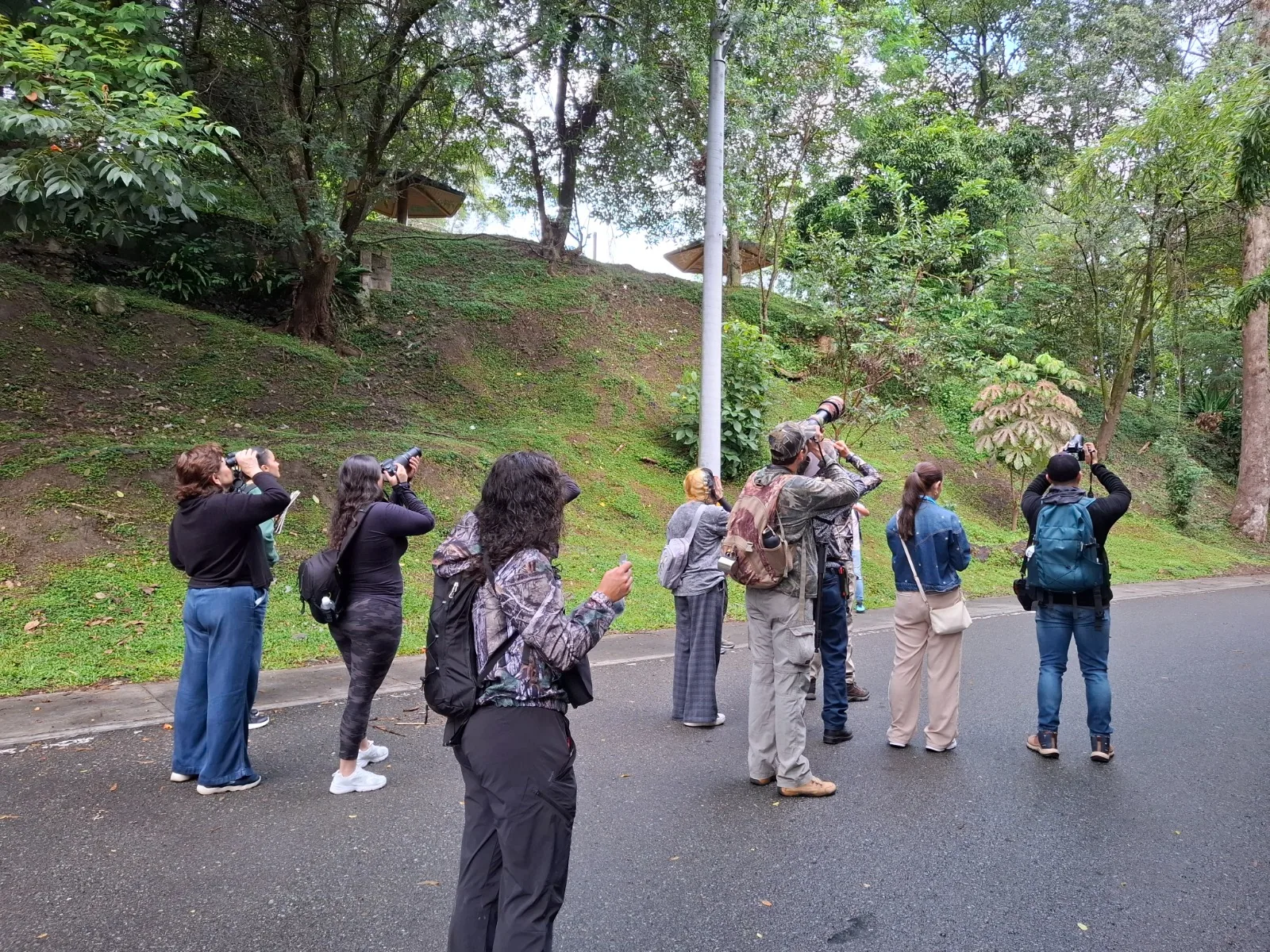 Medellín Celebrará el Festival de las Aves 2026 con Ciencia y Arte Urbano.