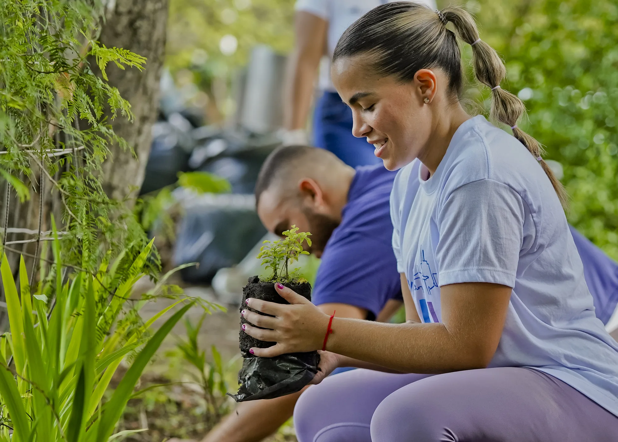 Cali Llevará su Agenda Ambiental a Dos Cumbres de la ONU.
